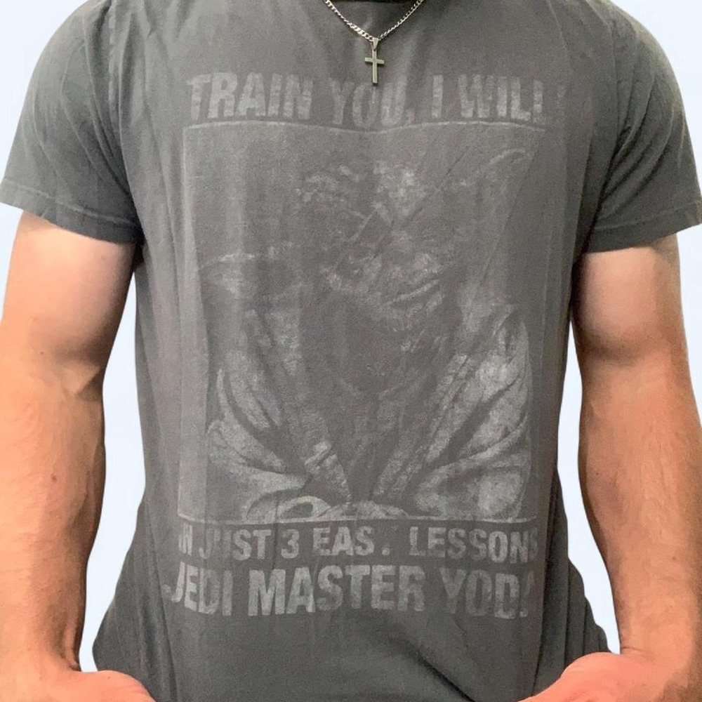 Junk Food Star Wars Yoda Graphic T-Shirt Mens Small Gray Train You I Will USA